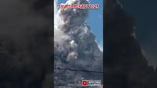 Erupsi & satwa Merapi #merapi #merapisiaga #aktivitasmerapi