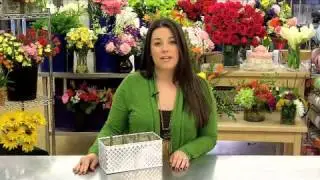 Red Tulip Garden Care & Handling Tips Video
