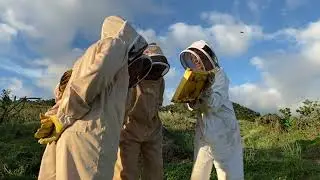 Maui Honey Bee Sanctuary