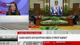 Egypt-Greece-Cyprus alliance enhances renewable energy expansion: Wafer Ali