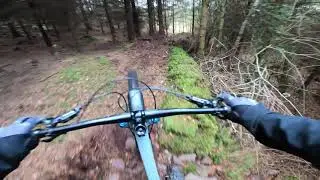 Two Cats MTB Trail Carey's Castle Clonmel