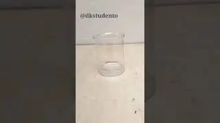 Bleaching Experiment #shorts #science #lifehacks #diy #dkstudento