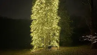 Brookside Gardens 💫🎄