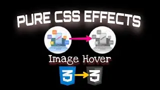 Css image hover Effects(CSS 1)Black & White, grayscale