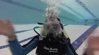 Ashley's mask half flood skill