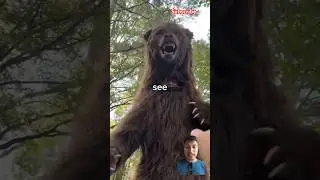 Real or fake animals #animals #funny #challenge #wildlife #mrsbeast #mrbeastshorts #youtube #trend