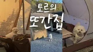 토르의 또간집ㅣ사천5901캠핑장ㅣ26년 첫 캠핑ㅣ애견동반캠핑장ㅣ캠핑브이로그ㅣ겨울캠핑브이로그ㅣ강아지브이로그