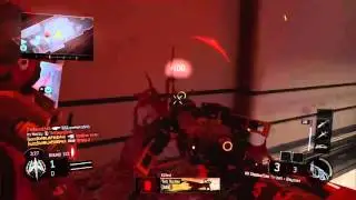 Amazing feed with NX Shadow claw