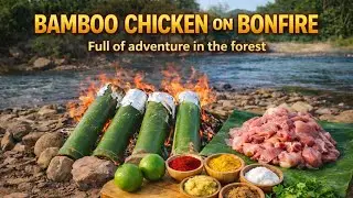 Cooking in Bamboo | Full of adventure in the Jungle  I Bitebox Studio