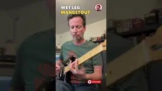 Wet Leg - mangetout - Guitar Lesson & Tutorial #wetleg #mangetout #johnmcnicholas