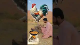 LOVE ISLAMIC CHANNEL VIDEO