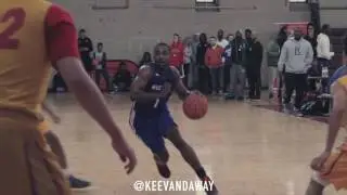 Damon wall Highlight