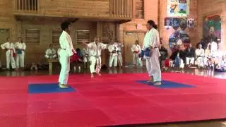 Kumite, Boys 14-17 | 2014 IKD World Camp tournament | Shotokan Karate