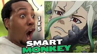*DR.STONE* IS THE SMARTEST SHINIEST MONKEY ALIVE!🤪