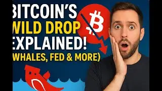 Bitcoin&rsquo;s Wild Drop EXPLAINED! (Whales, Fed & More)