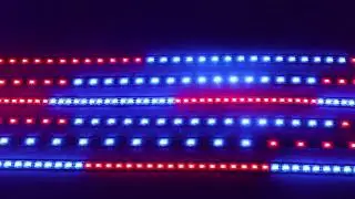 Đ&Egrave;N LED WS2812B ARGB NEOPIXEL MỎNG 5MM 2020 160LED/M&Eacute;T 200LED/M&Eacute;T D&Acirc;Y 1 M&Eacute;T