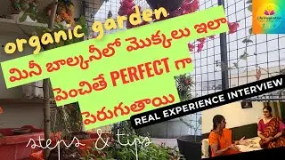 How to start Small Space Gardening? REAL EXPERIENCE INTERVIEW! #Motivation#life inspiration #tips 