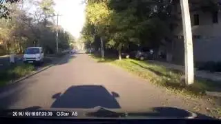 Дятел на жульке