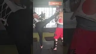 ROUNDHOUSE Kick 🇳🇱 Dutch KICKBOXING | Functional Basic Combo: High Level Striking STREETS, MMA & KB