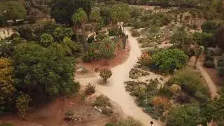 Fullerton Arboretum Aerial Tour