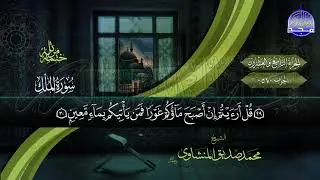 ⏪ المصحف المرتل | الشيخ محمد صديق المنشاوي | الجزء التاسع والعشرون | نسخة المجد عالية الجودة HD