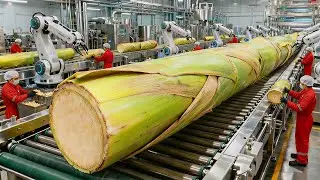 Inside the World&rsquo;s Largest High-Tech Banana Stem Factory You've Never Seen This Before(Full Process)