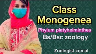 Class Monogenea | Platyhelminthes | Bs/Bsc zoology | Fsc biology | Kingdom Animalia | Monogeneans