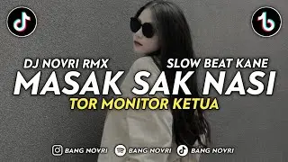 DJ MASAK SAK NASI | TOR MONITOR KETUA VERSI BOCIL | VIRAL TIKTOK 2025 (Dj Novri)