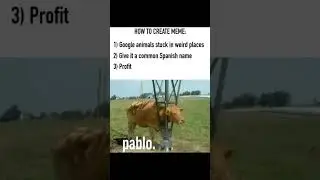 Meme caption: 🐄🇪🇸