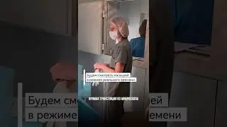 Choosing a baby for transfer with embryologists. Watch until the end #ivf #infertility #pregnancy