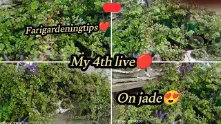 Fari gardening tips  is live gup shup zone