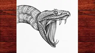 Snake Drawing Easy | How To Draw a Realistic Snake with Pencil Step by Step