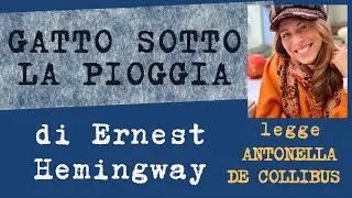 Gatto sotto la pioggia di Ernest Hemingway - legge Antonella De Collibus
