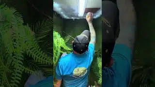 Cloud ceiling in this huge enclosure! Can you guess what&rsquo;s going In here? 