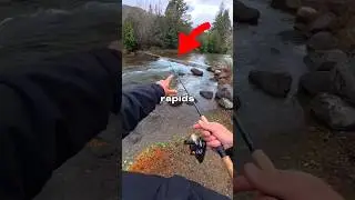 Я поймал НЕУЛОВИМУЮ рыбу 🐟🎣