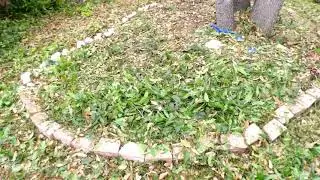 Cleaning up the Tree Ring Area