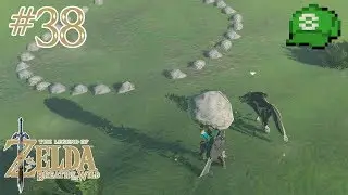 Legend of Zelda: Breath of the Wild |#38| 