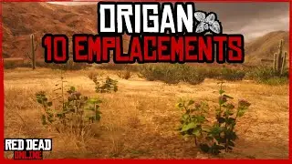 ORIGAN - 10 EMPLACEMENTS | Red Dead Online - Vonchester RDO