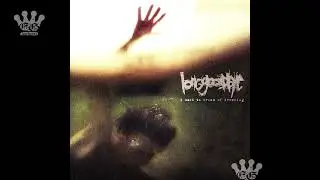 [EGxHC] Long Goodbye - i used to dream of drowning - 2024 (Full EP)