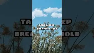 Meditation Reel  Part 3