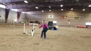 Pixie ETNG Pretty Bonus