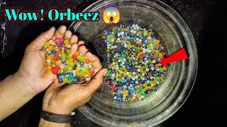 Orbeez Balls Kaise Hote Hain? और कितने दिन में बड़े 😱