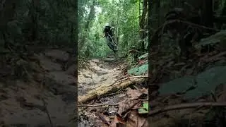 Gravity-Defying Singapore