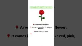 5 lines about Rose #rose #kids #funlearning #roseflower #beutifull #love #learningenglish #listening