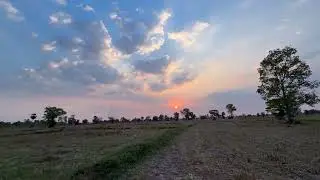 Sunset at evening so beautiful #nature #farming #music #music 