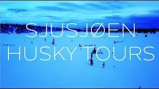 Dog sledding in the Sjusj&oslash;en Sunset (4K)
