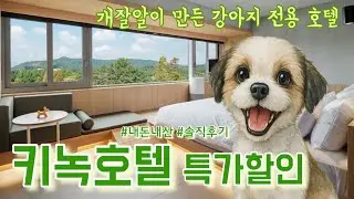 [경주 키녹호텔-평일 특가할인] KINOCK HOTEL 내돈내산 장점과 단점 솔직후기, 강아지 전용 키녹호텔, 경주 애견동반 숙소, 펫츠고