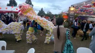 Sifu Lam Lion Dance Noodle Festival Melbourne