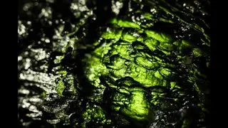 Moldavite 101: The Meteorite Gemstone with Powerful Spiritual Energy