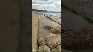 happy dogs day out in selmun Malta #dog #puppy #cute #holiday #beach #happy